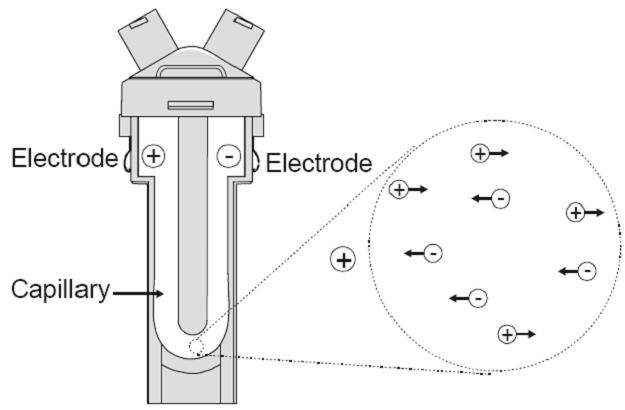 A folded capillary cell for zeta potential measurements